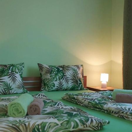 Apartman ,,Milica" Donji Milanovac Buitenkant foto