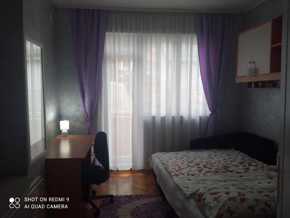 Apartman ,,Milica" Donji Milanovac Buitenkant foto