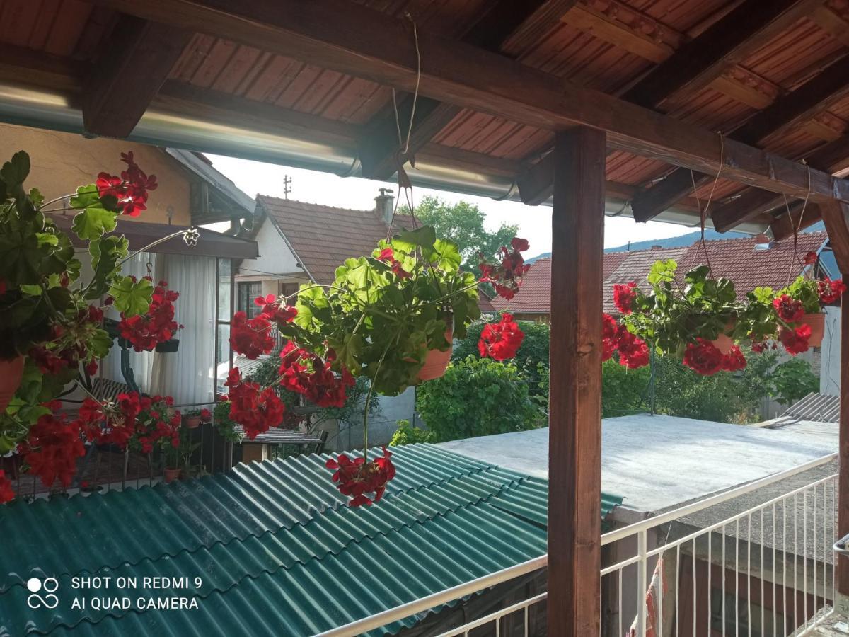 Apartman ,,Milica" Donji Milanovac Buitenkant foto