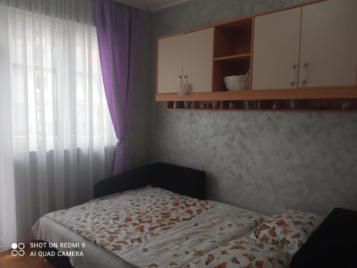 Apartman ,,Milica" Donji Milanovac Buitenkant foto